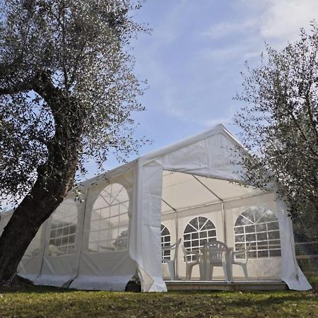 Appartamento Alba Dachi Farm Marina dʼMarina dʼAndora Exteriér fotografie