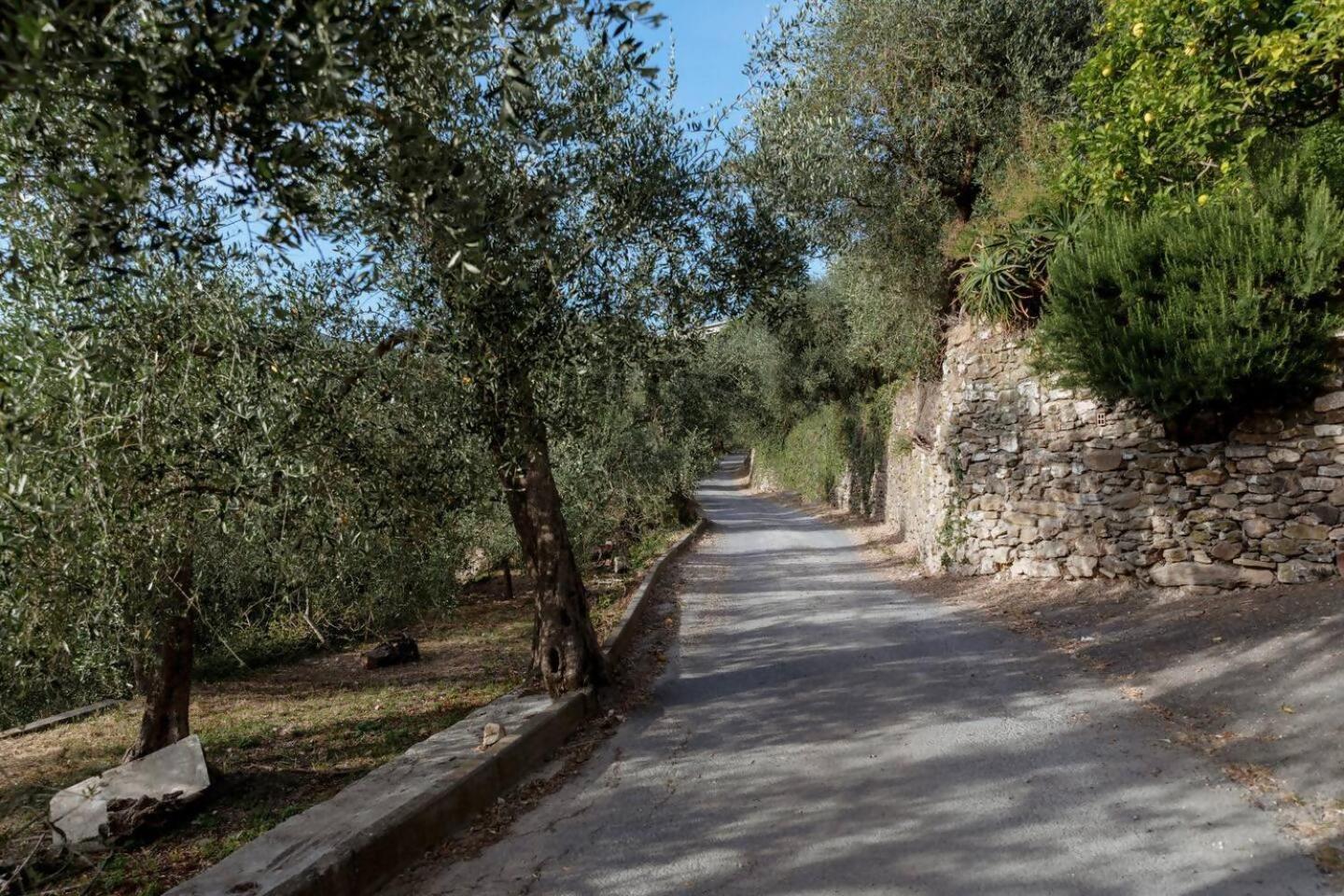Appartamento Alba Dachi Farm Marina dʼMarina dʼAndora Exteriér fotografie