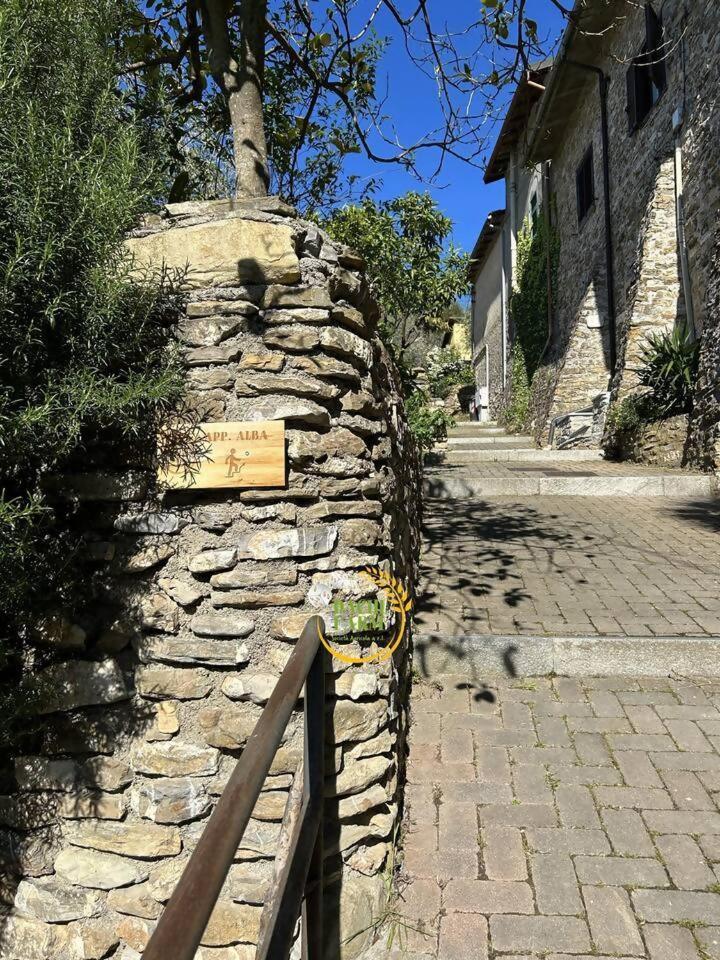Appartamento Alba Dachi Farm Marina dʼMarina dʼAndora Exteriér fotografie