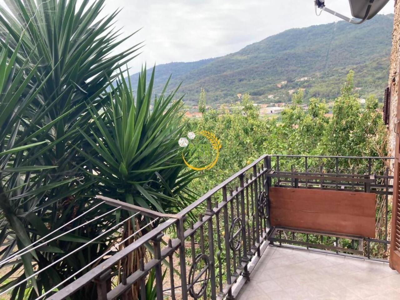 Appartamento Alba Dachi Farm Marina dʼMarina dʼAndora Exteriér fotografie