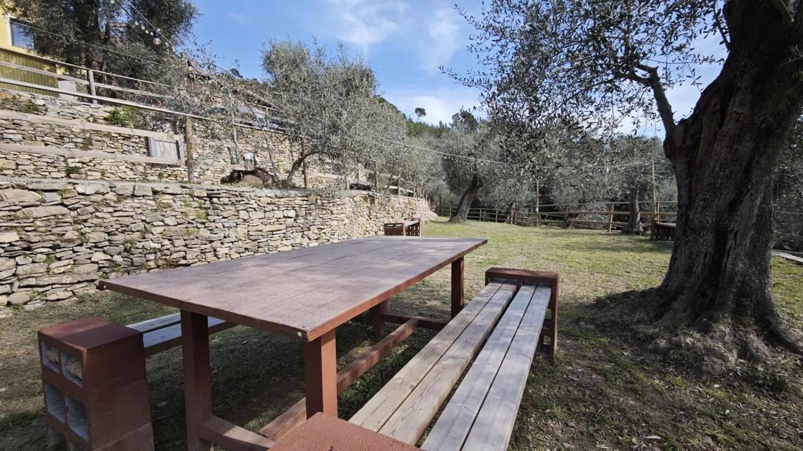 Appartamento Alba Dachi Farm Marina dʼMarina dʼAndora Exteriér fotografie