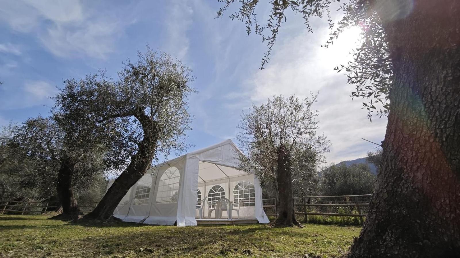Appartamento Alba Dachi Farm Marina dʼMarina dʼAndora Exteriér fotografie